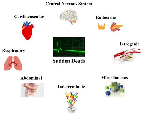 modeen dead cause of death|examples of causes of death.